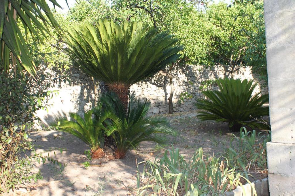 Dimora Storica "Casa Sicuro" Bed and Breakfast Martano Εξωτερικό φωτογραφία