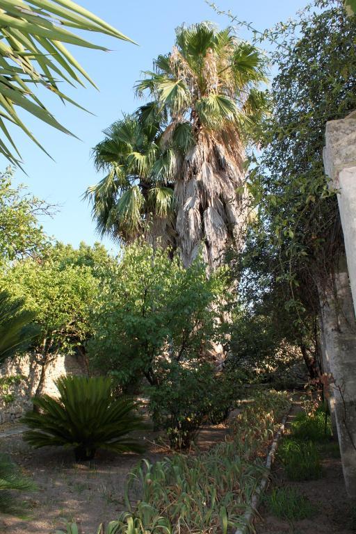 Dimora Storica "Casa Sicuro" Bed and Breakfast Martano Εξωτερικό φωτογραφία